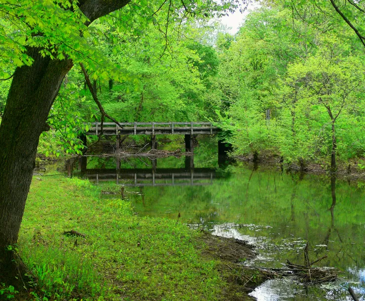 Land between the Lakes.jpg