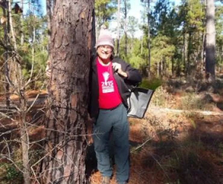 LongleafPine.jpg