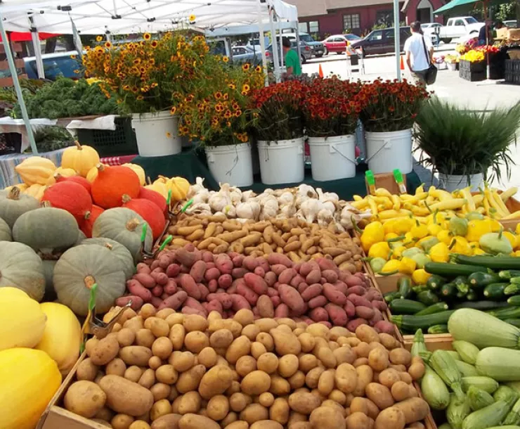 Lot 4 Farmers Market.jpg