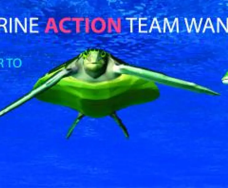 MAT-GRANT-2015-FLYER.jpg