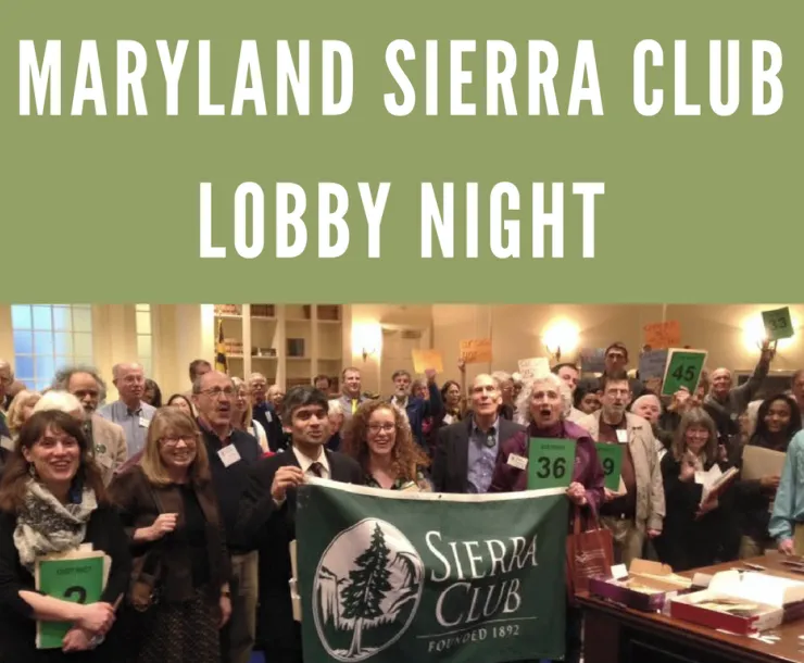 MD Lobby Night Image.png