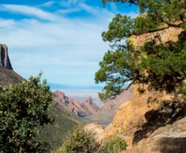 MFAHBigBend.png