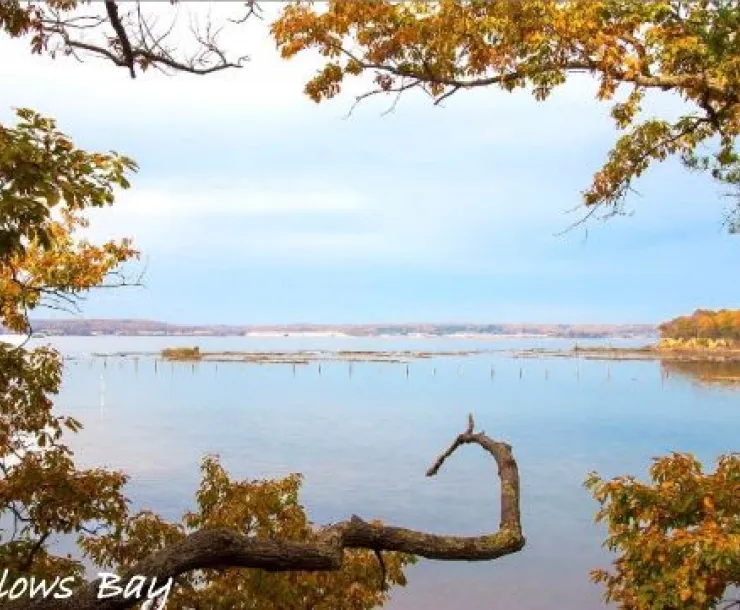 Mallows Bay.jpg