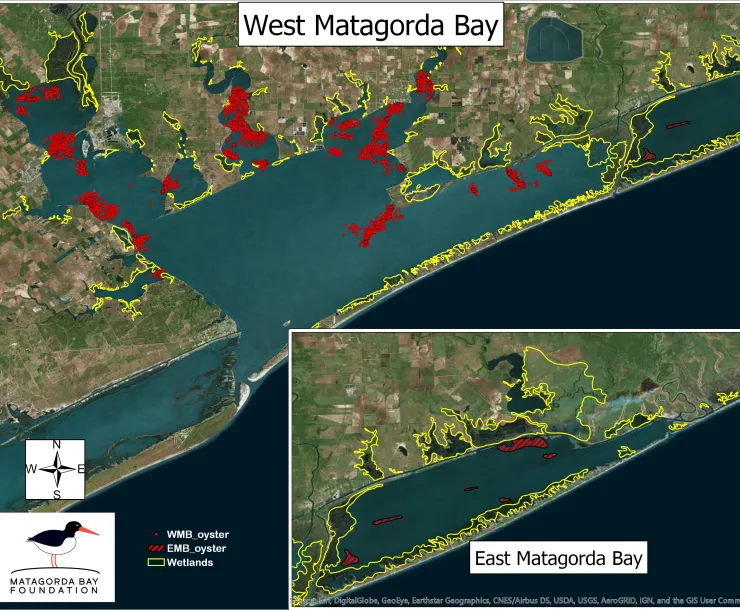 Matagorda_Bay_wetlands_oysters.jpg