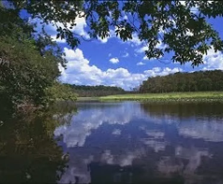 Mattawoman Creek Where one Goes Pleasantly.jpg