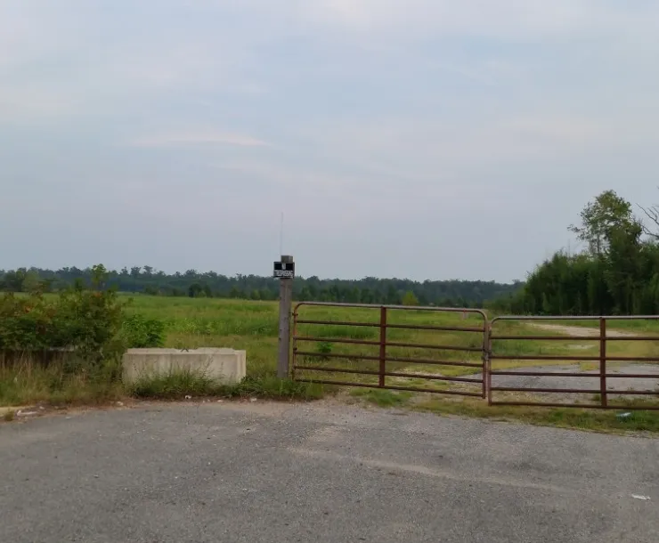 MattawomanPlantSite.jpg