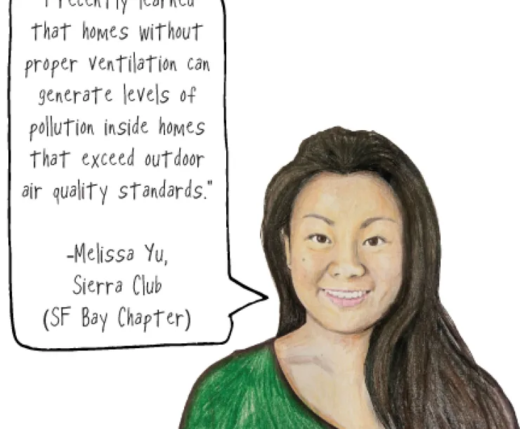 Melissa.jpg