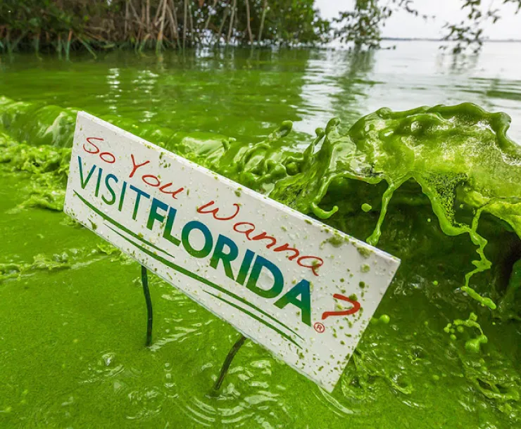 Moran_Caloosahatchee 1.jpg
