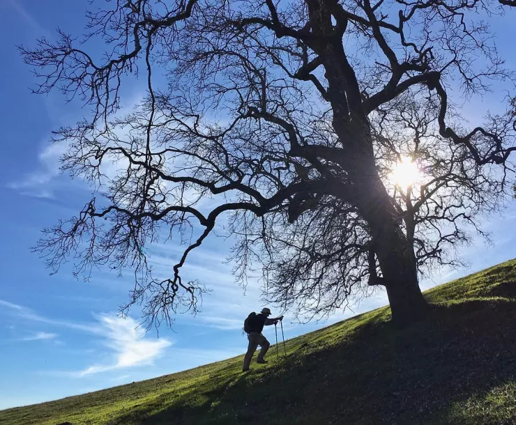 Mount Saint John.jpg