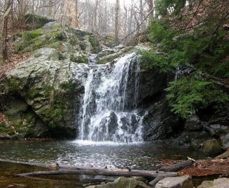 NP Cascade Falls Trail.jpg