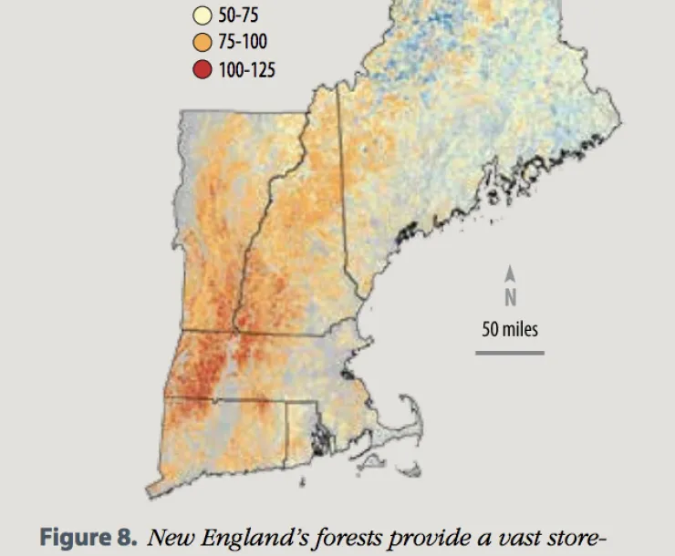 New England Forest Carbon Storage.png