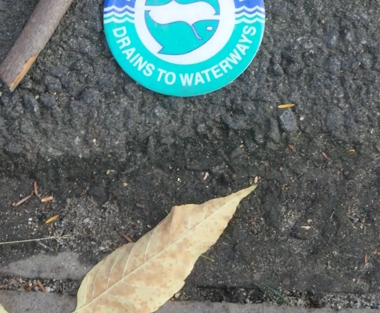 No dumping stormwater label.JPG