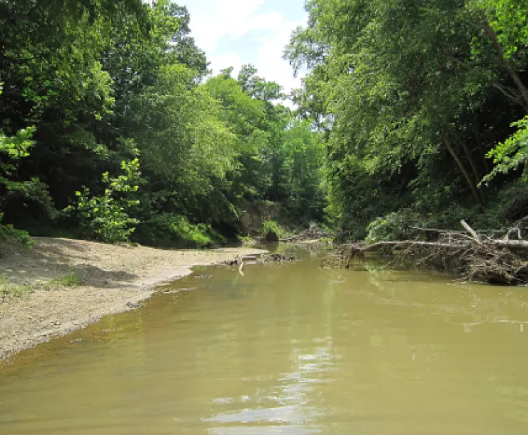 Nonconnah_Creek (1).jpg
