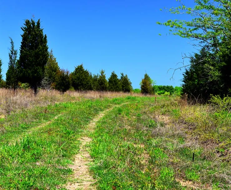 Old-Cahawba-Prairie-10.jpg
