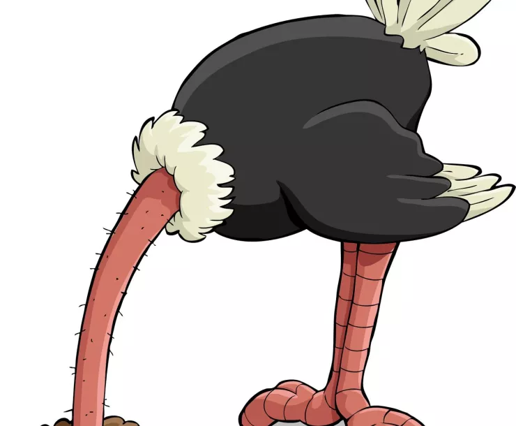 Ostrich-with-head-in-sand-illustration.jpg