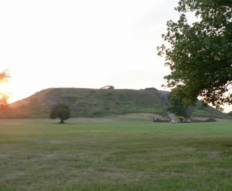 P1050424.jpg