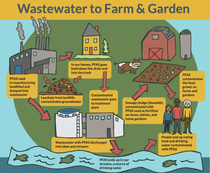 PFAS biosolids farm info_SC.png