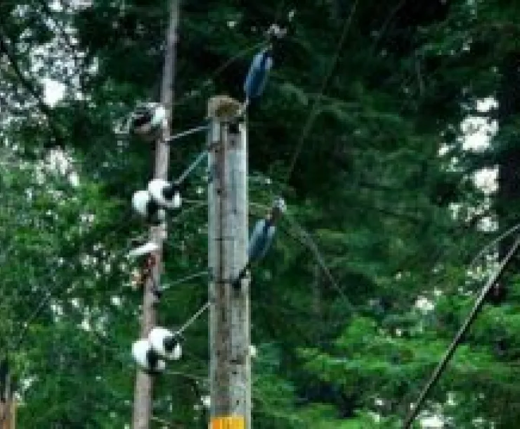 PGE-Equipment.jpg