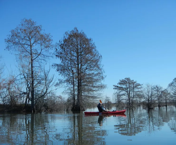 Paddler at Sheldon Lake.jpg