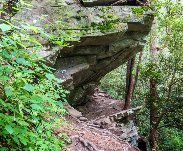 Panther Creek Trail GA.jpg