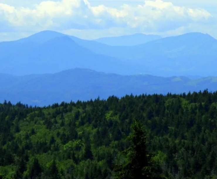 Pisgah.jpg