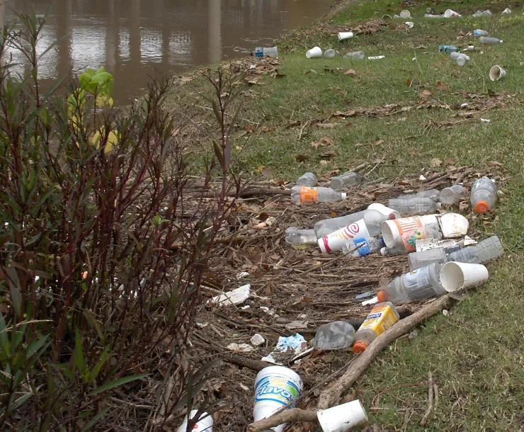 Plastic-Pollution.JPG