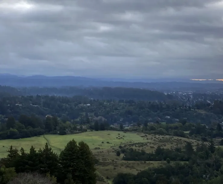 Pogonip Meadow from above.jpg