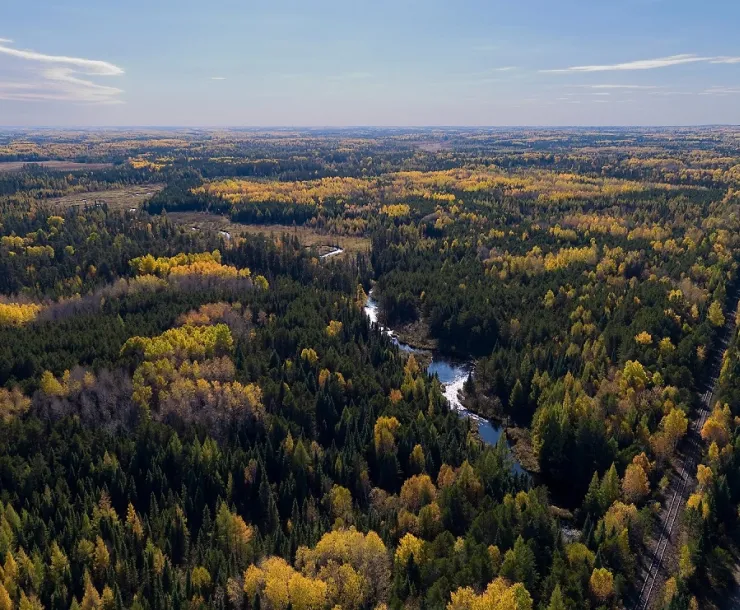 PolyMet-Mine-Site-south_look_Anonymous.jpg