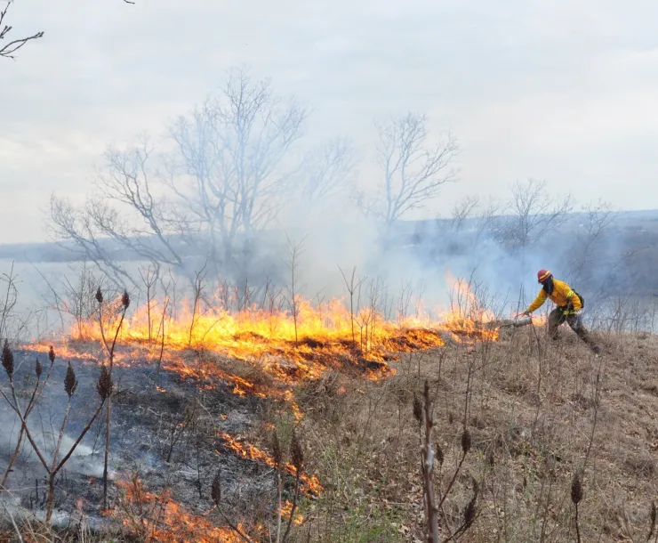 Prescribed Fire Photo (1).jpeg