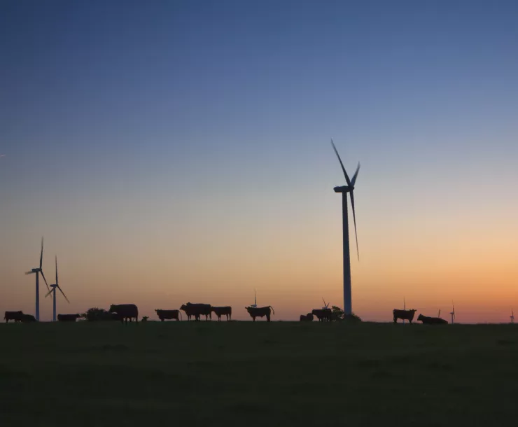 RenewableDenton.jpg