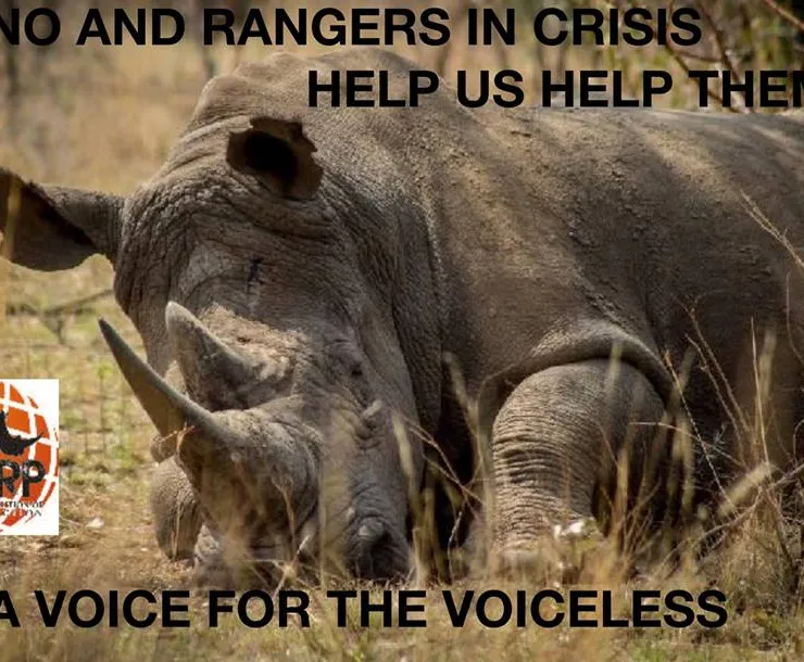 Rhino event.jpg