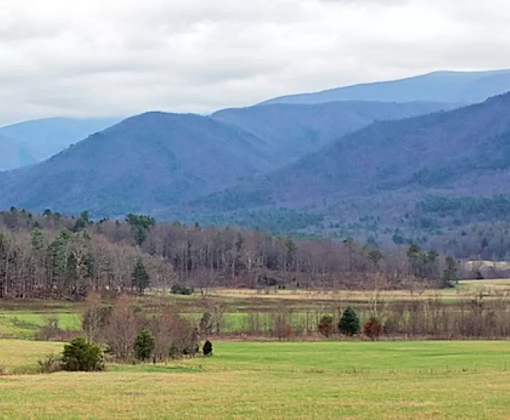 Ron Smokey Mountains Thumbnail.jpg