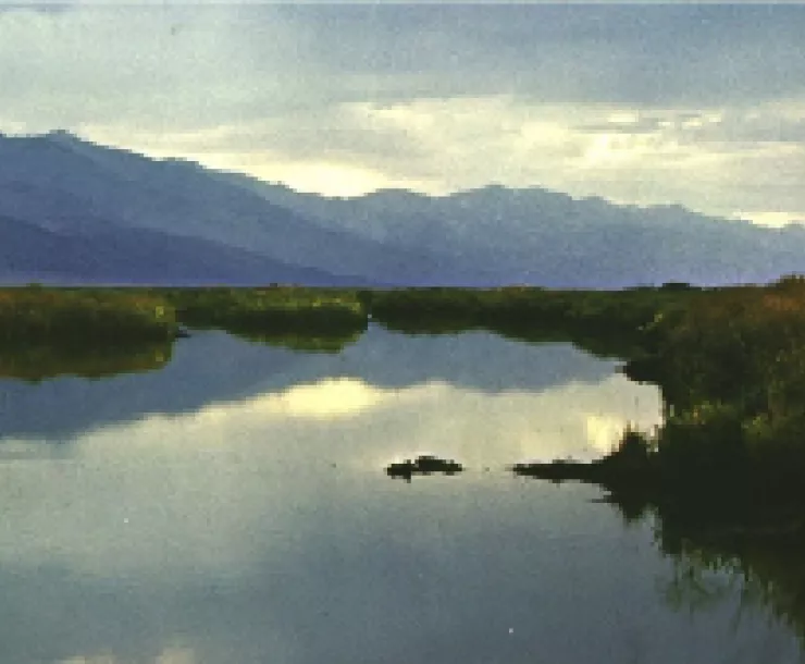 Ruby Marshes2.jpg