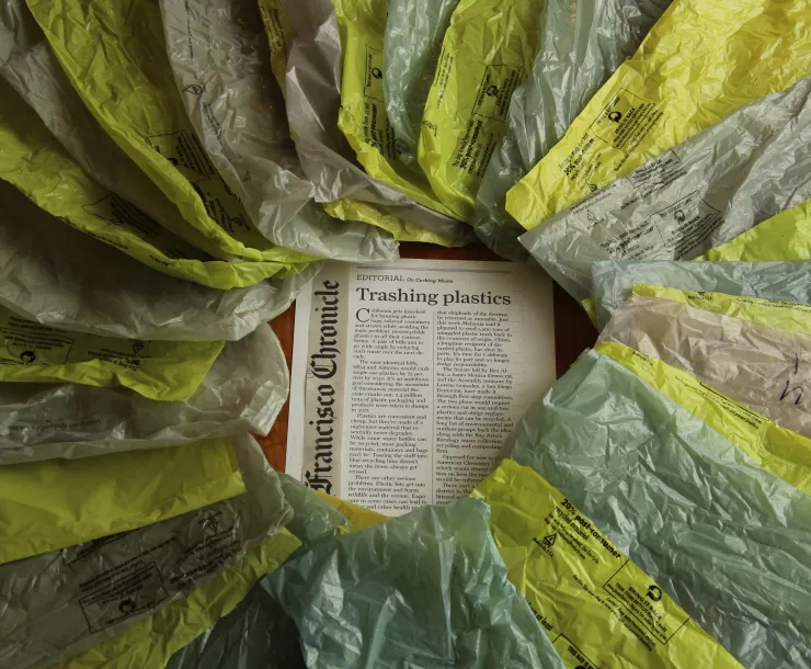 SF Chronicle rosette by Alces Images.jpg