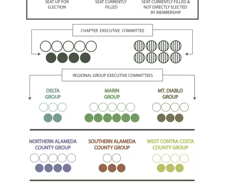 SF ELECTIONS 2021.jpg