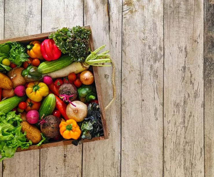 SIERRA Vegetables WB.jpg