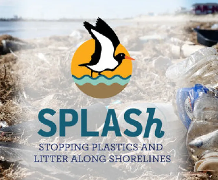 SPLASh image.jpg