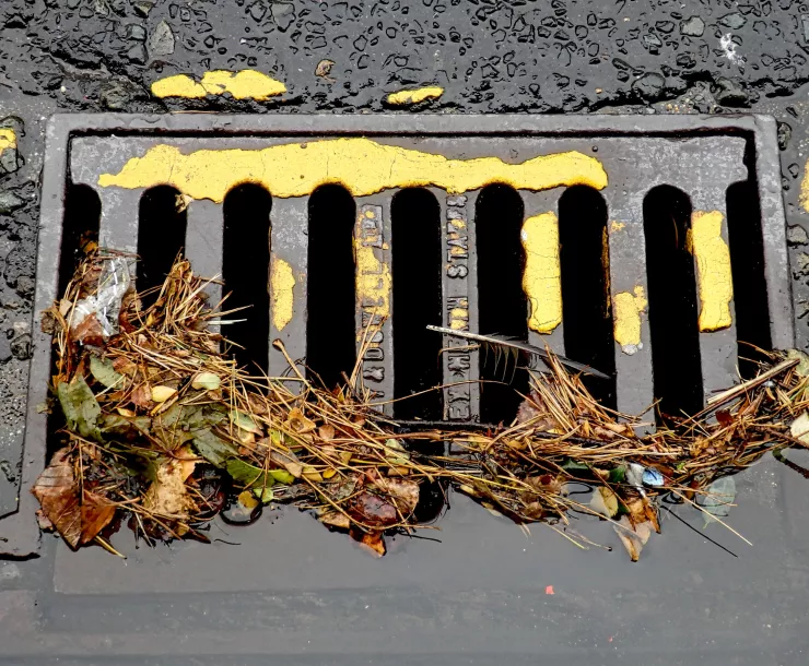 STORM DRAIN.jpg