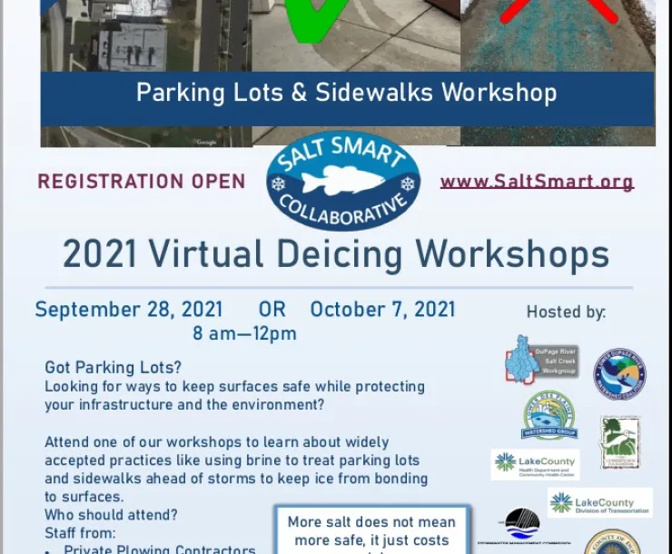 Salt Smart Flyer.jpg