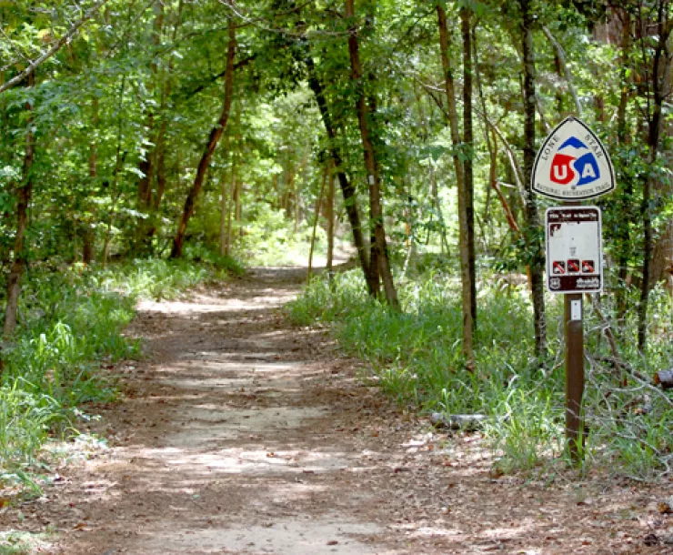SamHoustonNF-USFS.jpg