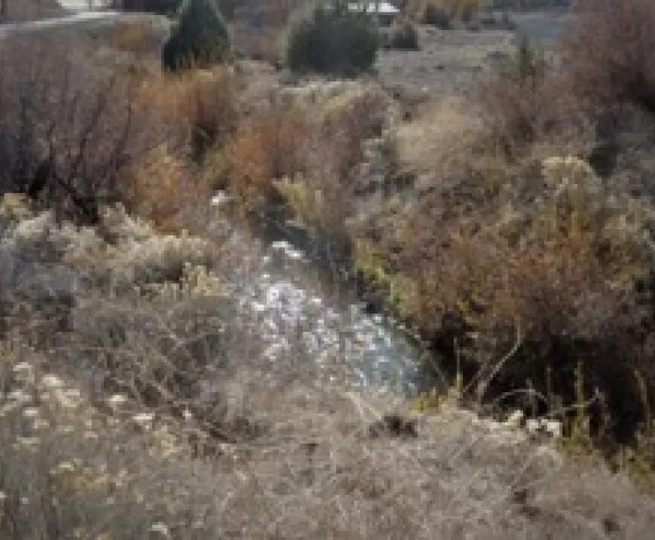 Scott River.jpg