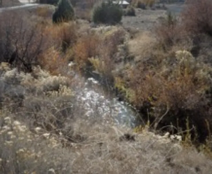 Scott River.jpg