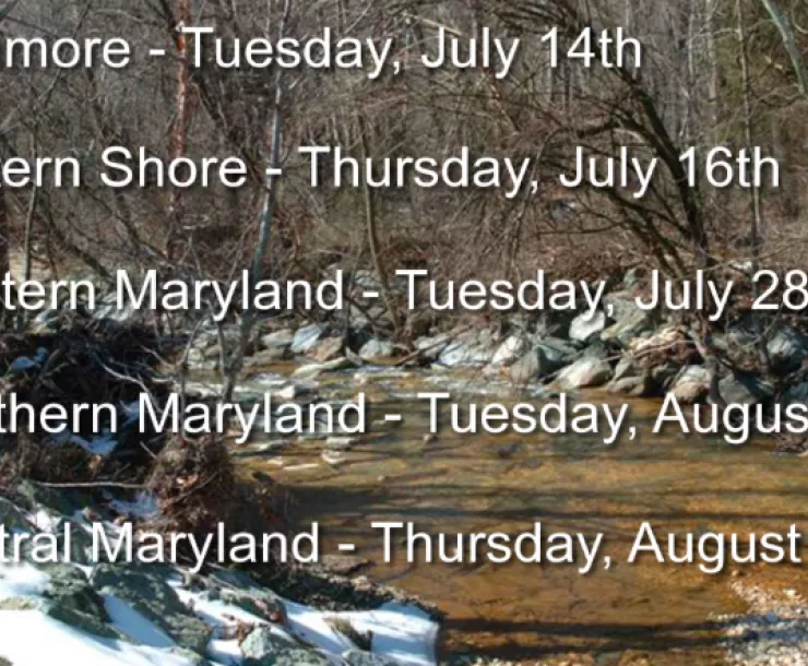 Screen Shot 2015-07-17 at 11.39.38 AM.png