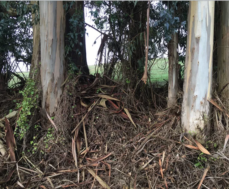 Screen Shot 2016-09-20 at 3.17.17 PM.png