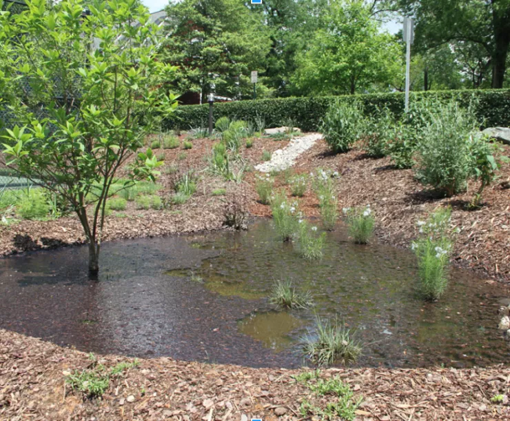 Screen Shot 2018-05-23 at 11.33.14 AM.png