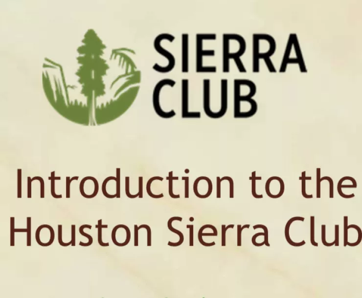 Screen Shot 2018-09-27 at 9.47.02 AM.png