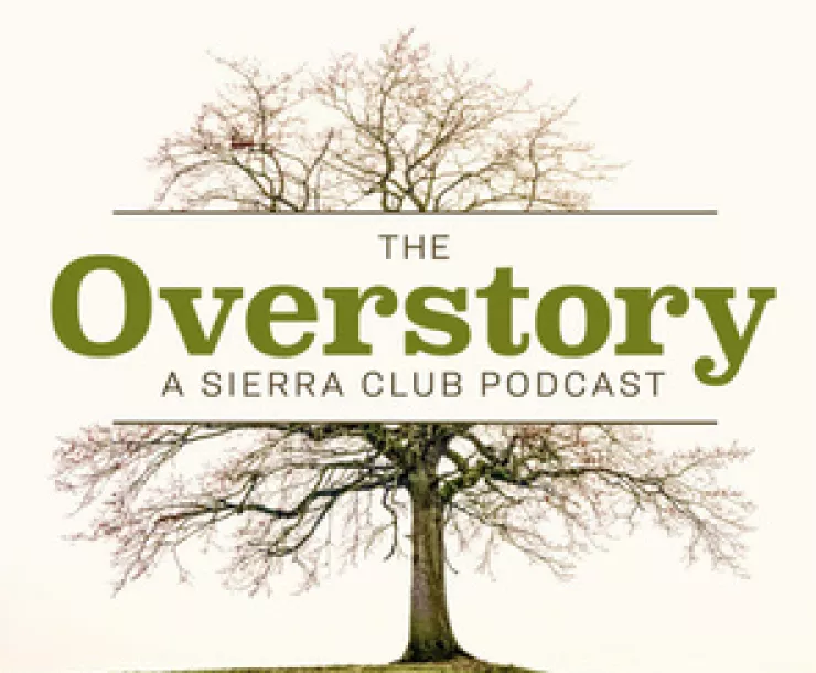 Screen Shot 2018-11-02 at 12.09.20 PM.png