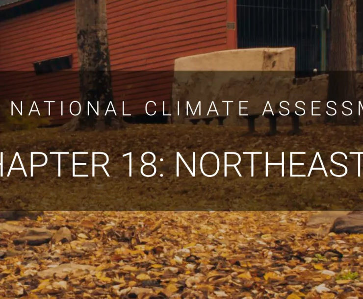 Screen Shot 2018-12-11 at 12.05.55 PM.png