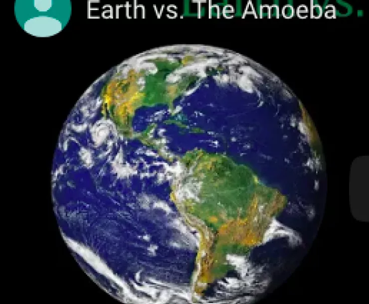 Screen Shot 2019-05-30 at 8.25.22 AM.png