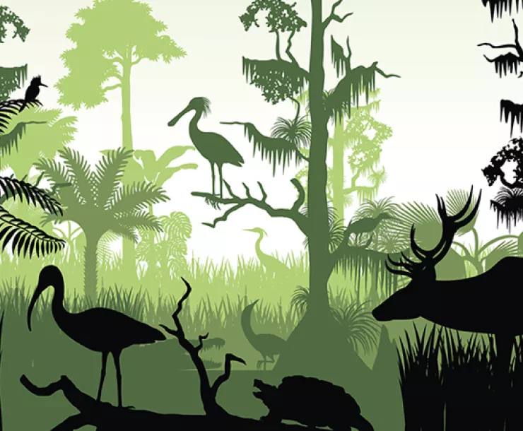 Screen Shot 2021-12-25 at 1.20.18 AM.png